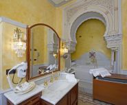 mastersuite amira