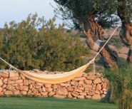 olijventuin masseria
