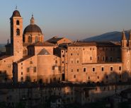 urbino